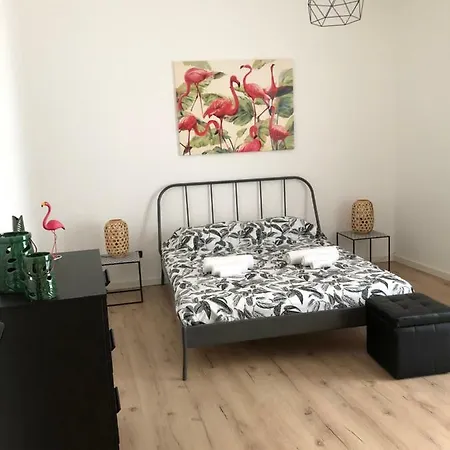 Oasis Apartamento